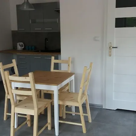 Jaktstuga Modern House Brzozowa Wilkasy (Gizycko)